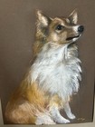 Vintage Oil Pastel Collie Dog 25 5  X 31  Signed Framed Artwork Ooak