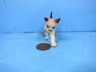 Hagen Renaker-siamese Kitten Playing Ceramic Figurine-2003-2007- A-3395-used