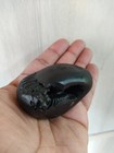 Natural Laxmi Narayan Shaligram Shila Real Saligram Nepal Gandaki River