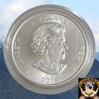 2016 Canada 5 Dollars 1 Oz  9999 Silver Cougar Coin In Capsule      Fast Ship      