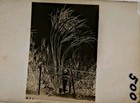 Vhtf 2 1 2  Antique Glass Plate Man Standing Beside Sugarcane Ha Photo Negative