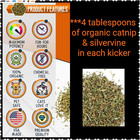 Cat Kicker Toy Set Of 2  9  Kickers  Catnip Kicker Toys  Kitty Sticks  Catnip To