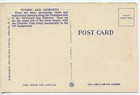 Vintage Linen Postcard N908 Highway That Tunnels Tennessee Great Smoky Mountains