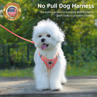 Dog Harness And Leash Set soft Mesh Breathable Small Dog Harness reflective Adju