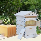 Painted Auto Beehive Honey Bee Hive Boxes Beekeeping Hives House 7x Bee Frames 