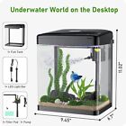 Betta Fish Tank  2 Gallon Glass Aquarium  3 In 1 Fish Tank With 2-gallon Black