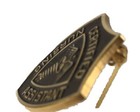 Vintage Terry Berry 24k Gold Plated Certified Nursing Assistant Cna Lapel