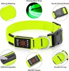 Led Dog Collar Rechargeable Light-up Safety Collar For Night Walking  colors 