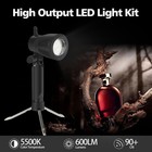 Photography Led Spotlight For Video Recording And Studio 2-pack            