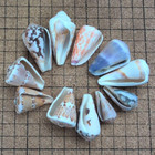Japanese Sea Glass Surf-tumble  Cone Shell Seashell Set   2cm To 4cm