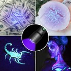 395nm Zoom Uv Light Blacklight Rechargeable Tactical Led Flashlight 18650 Lamp