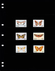  5 50 Scott Value - 1997 Nevis Butterflies   Moths Caribbean Cv Mnh Nh Umm