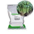 Mountain Valley Seed Co Speckled Pea Sprouting Seeds 1 Lbs 1 Lb  Green