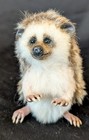 Baby Hedgehog Handmade Felted Ooak 