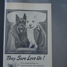 Black   White Blended Scotch Whisky Magazine Advertisement 1952 Scottie Dogs