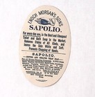 Enoch Morgan s Sons Sapolio Toilet Bath Soap Lovely Woman Victorian Trade Card