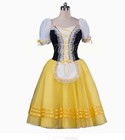 Adult Professional Long Ballet Dress Romantic Tutu Dance Performance Costumes