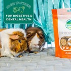 Oxbow Natural Science Vitamin C For Guinea Pigs And Other Small Animals