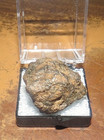 23 Gm Sericho Pallasite Meteorite Individual From Kenya Case Olivine Jal Top Gd
