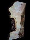 Xl Mind Blowing Maple Burl Wood Blank  Ambrosia Maple Curly Maple Craft Wood