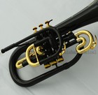 Professional Black Marching Mellophone Horn F Key Monel Valves With Case
