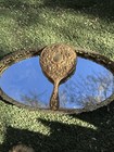 Antique Vanity Set Gold Plate  Brush Ans Hand Mirror With Original Perfume Bottl