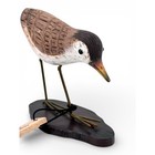 Hand Carved Wood Common Sandpiper Shorebird Sculpture 5  W Tag