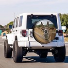 Foruidea Funny Donkey Spare Tire Cover With Backup Camera Hole Wheel Tire
