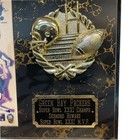 Vintage 1996 Green Bay Packers Super Bowl Xxxi Championship Plaque  Brett Favre