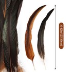 Ihufeather Natural Rooster Tail Feathers 50pcs 10-12inch Long Rooster Coque T   