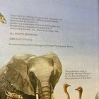 Vintage Book Wildlife Library The Elephant By Jill Coleman 1984 Exeter 