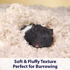Clean   Cozy White Bedding Pet For Guinea Pigs  Rabbits  Hamsters  Gerbils  chin