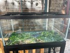 Aqueon 45 Gallon Fish Aquarium With 4stage Filter