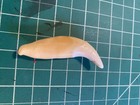 Bear Tooth Northwest Coast  Native Americanative American  