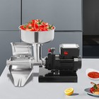 Etc-1 Stainless Steel Tomato Sauce Maker Electric Tomato Strainer Machine 450w