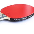 Expert Table Tennis Palio Legend 3 0 Ittf-approved Racket   Case