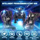Remote Control Robot Dog For Boys  Rechargeable Stunt Toy With Singing   Dancing