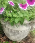 Pair Of Antique Concrete Planter Urns From Historic District Dsm Ia