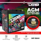 Ds18 Inf-28ah Infinite 28 Ah 1000 Watts Agm Power Cell 12 Volt Battery