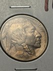 1913 Type 1 Buffalo Nickel     Unc Details - Rare Date - 1st Year Issue