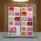 Dahlias 2025  5 Books Of 20  First-class Mail Forever Postage Stamps Total 100pc