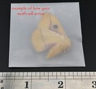 Io Moth  Male   A    Quality   one Unmounted Specimen  