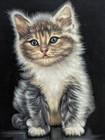 Vintage Velvet Painting Large Art Cute Kitten Cat Signed Framed 17x13  Kitschy