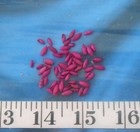   Rice Shells   Vintage    54    Deep Fuchsia   Shellcraft   Sailors Valentines 
