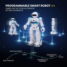 Programmable Smart Robot Toy Remote Control Dancing Talking Gesture Sensor Gift