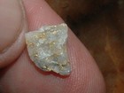 Gold Quartz Specimen  3 Gram Blue Mtns Oregon Gold