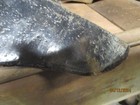 Ihc farmall international Plow Point New Old Stock  Steelcast 446-ds  6 