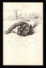 Vintage Lucy Dawson Springer Spaniel Print 1940 s Illustration 6704b