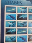Us Stamps Sharks 2016  Forever Sheet Of 20  Mnh