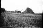 Black   White Negative   Snapshot Farm Field Trashing Grain Mules Straw Pile